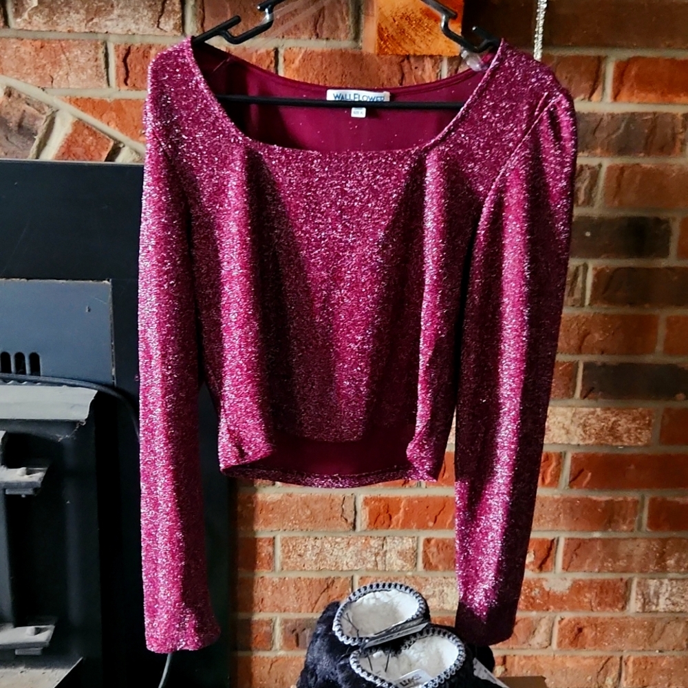 Burgundy sparkle crop top